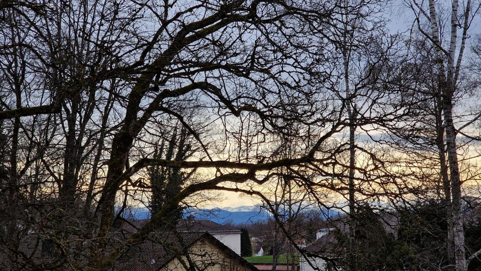 Ferienwohnungen Sisi Pocking  Exterior foto